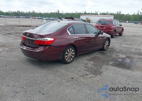 2014 Honda Accord Ex-L z USA, uszkodzony, nr VIN 1HGCR2F84EA194496